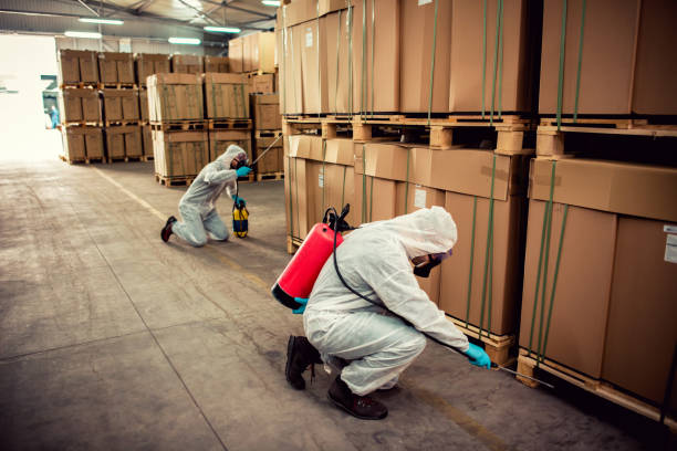 Best Mosquito Control Services  in Tidmore Bend, AL