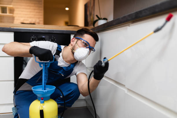 Best Flea Control Services  in Tidmore Bend, AL