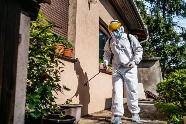 Best Pest Control Near Me  in Tidmore Bend, AL