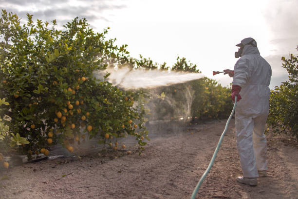 Best Local Pest Control Services  in Tidmore Bend, AL