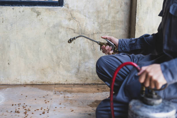 Professional Pest Control in Tidmore Bend, AL