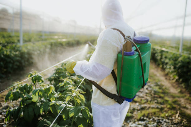 Best Insect Control  in Tidmore Bend, AL